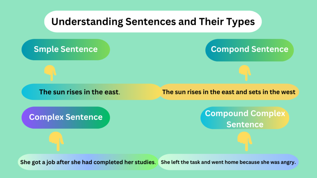 Understanding Sentences and Their Types: A Comprehensive Guide for Writers, Students, and English Learners