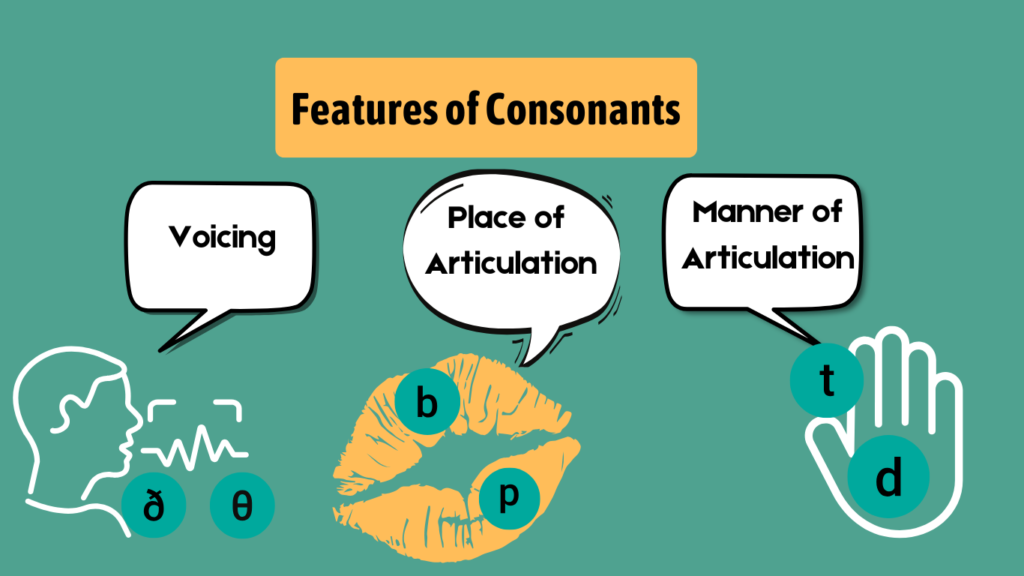 Features of Consonants